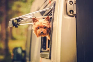 pet-friendly rv parks in texas